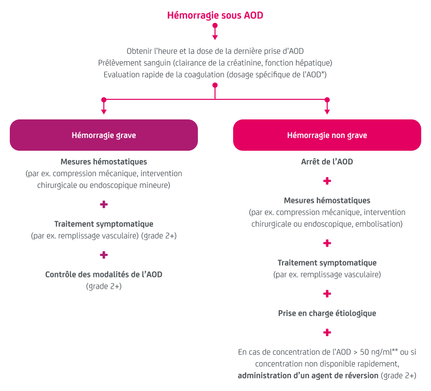 schema