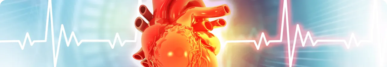 Visuel illustrant l'article Fibrillation atriale et patients âgés